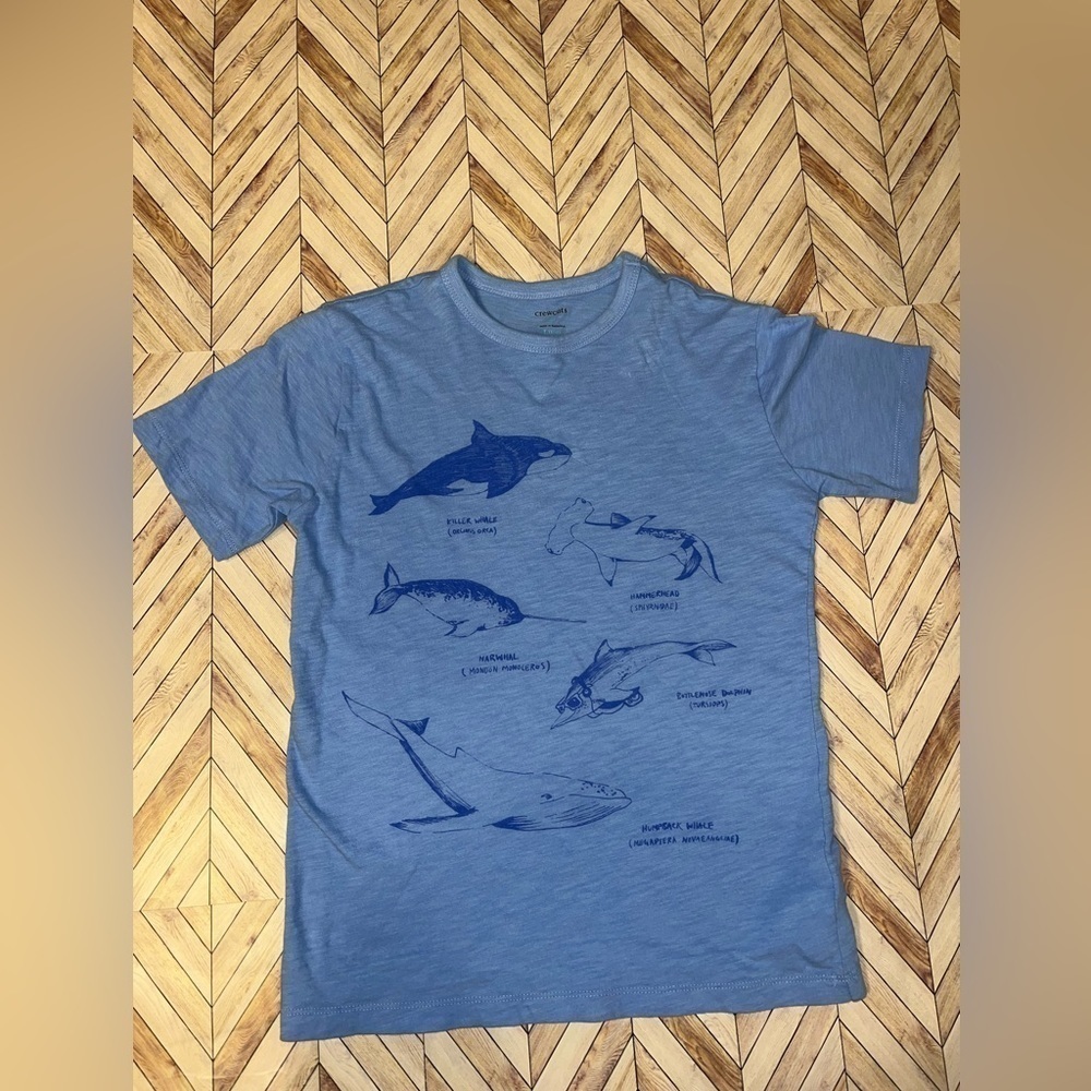 CREWCUTS Boy's whale Tee, Size 10